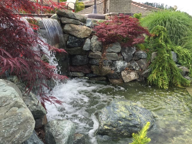 A cascading water feature creates a calming and pleasant sound in your back yard garden